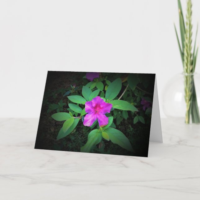 Azalea, Karte (Vorderseite)