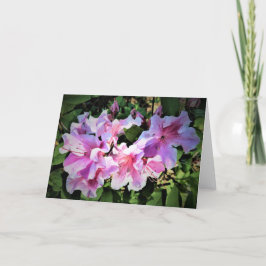 Azalea, Karte