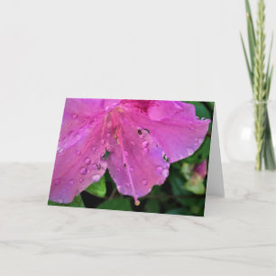 Azalea, Karte