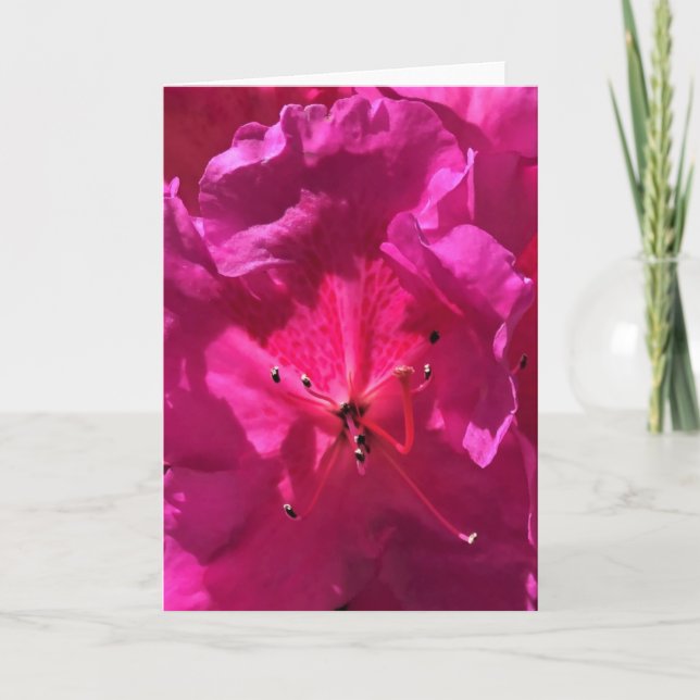 Azalea, Karte (Vorderseite)