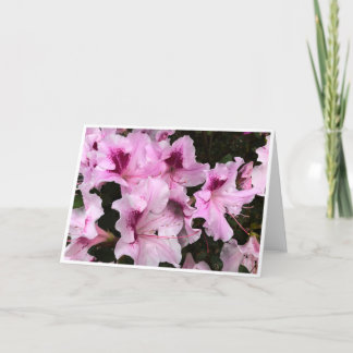 Azalea, Karte