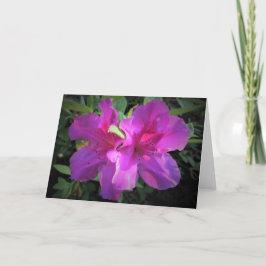 Azalea, Karte