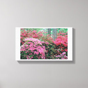 Azalea Leinwand