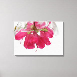 Azalea Leinwanddruck