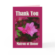 Azalea Matron rose d'honneur Merci