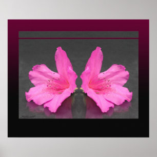 Azalea Mirrored Print -24x20 -andere Größen Poster