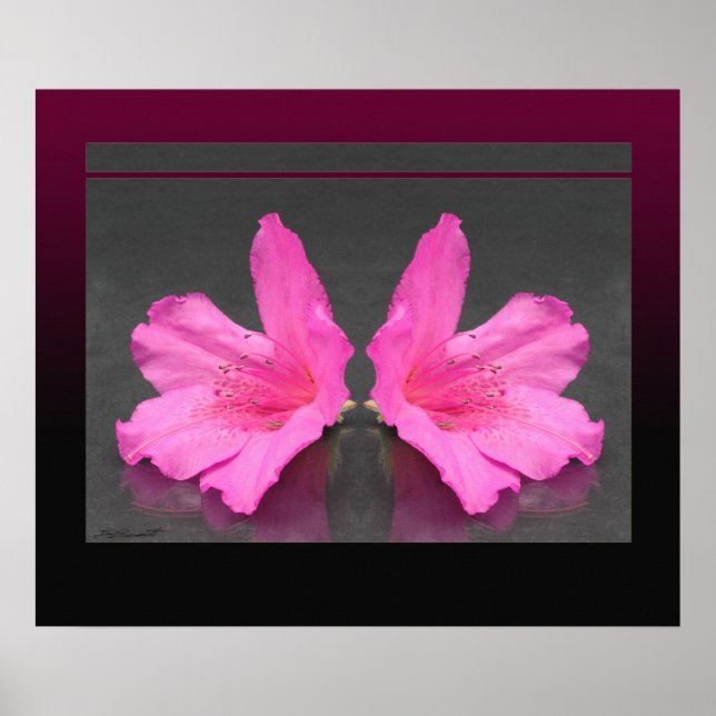 Azalea Mirrored Print -24x20 -andere Größen Poster (Vorne)