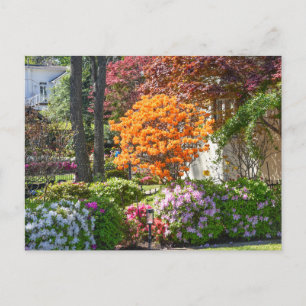 Azalea Trail Garden in Tyler, Texas Postkarte