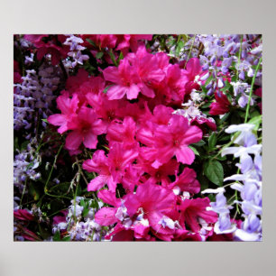 Azalea und Wisteria Poster