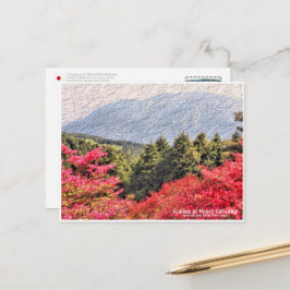 Azaleas at Mount Katsuragi ポストカード Postkarte