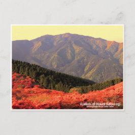 Azaleas at Mount Katsuragi ポストカード Postkarte