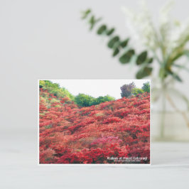 Azaleas at Mount Katsuragi ポストカード Postkarte