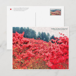 Azaleas at Mount Katsuragi ポストカード Postkarte