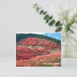 Azaleas at Mount Katsuragi Postkarte