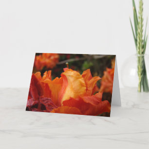 AZALEAS Azalea Blume GREETKARTEN KARTE HINWEIS