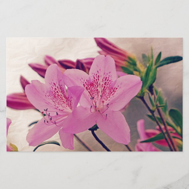 Azaleas Briefpapier (Vorderseite)