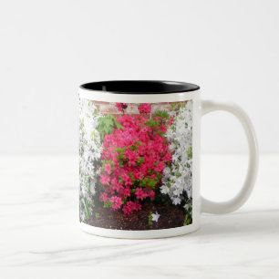 Azaleas enveloppent Mug