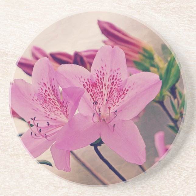 Azaleas Getränkeuntersetzer (Vorne)