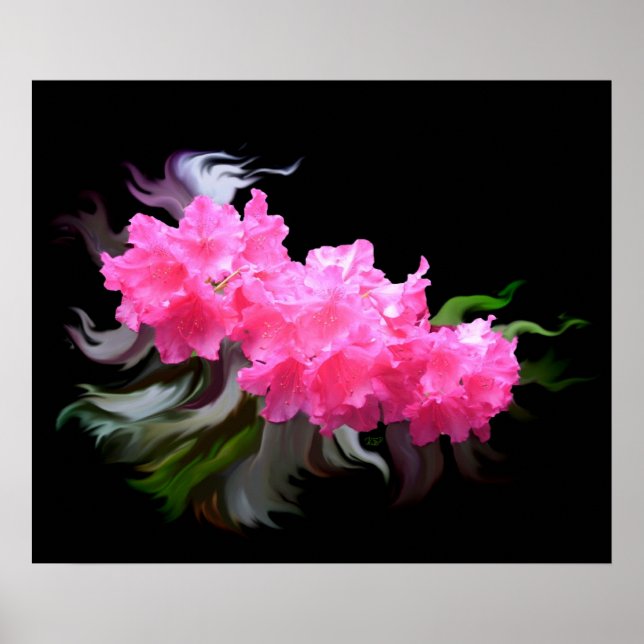 Azaleas Poster (Vorne)