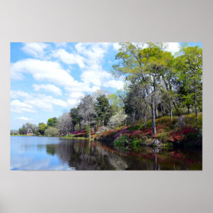 Azaleen am Rice Mill Pond Poster