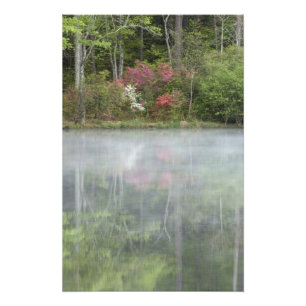 Azaleen, die zu Beginn in einem Teich schweben Fotodruck