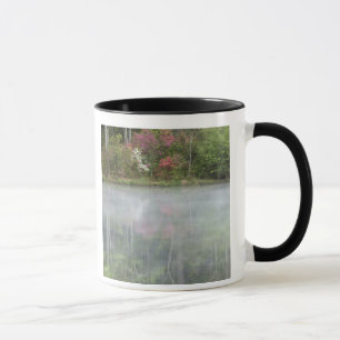 Azaleen, die zu Beginn in einem Teich schweben Tasse