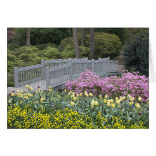 Azaleen-Heide-Familie (Ericaceae), Tulpe und