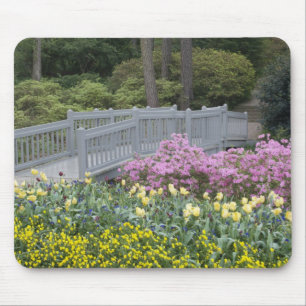 Azaleen-Heide-Familie (Ericaceae), Tulpe und Mousepad
