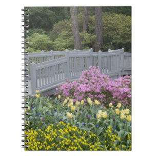 Azaleen-Heide-Familie (Ericaceae), Tulpe und Notizblock