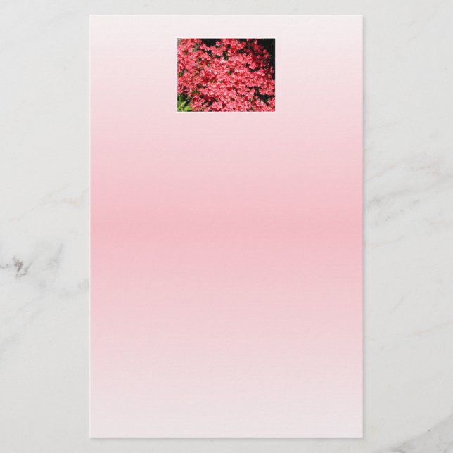 Azaleen. Hübsche rosa Blume. (Vorderseite)