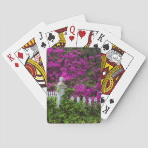 Azaleen im Frühling auf der historischen Insel der Spielkarten