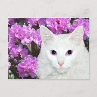 Azaleen Postkarte