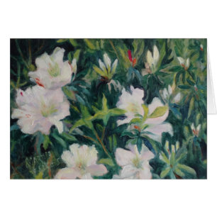 "Azalées blanches "