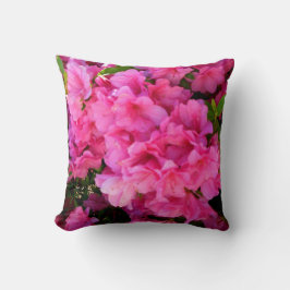 Azalées roses d'un coussin du sud d'accent de