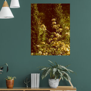 Azales-Strauß-Fotografie Poster