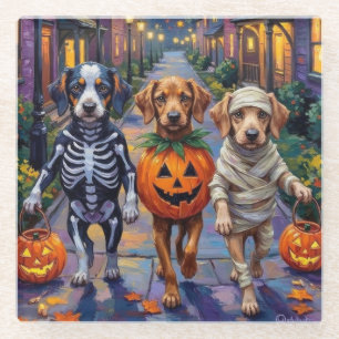 Azawakh-Hunde beim Trick-or-Treat Halloween-Kostüm Glasuntersetzer
