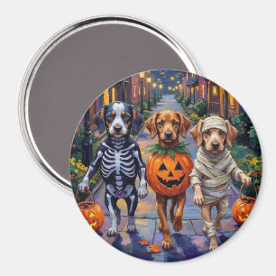 Azawakh-Hunde beim Trick-or-Treat Halloween-Kostüm Magnet