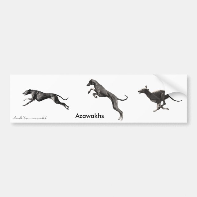Azawakhs-AUTOCOLLANT schwarz Autoaufkleber (Vorne)