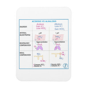 Azidose vs. Alkalosis Magnet