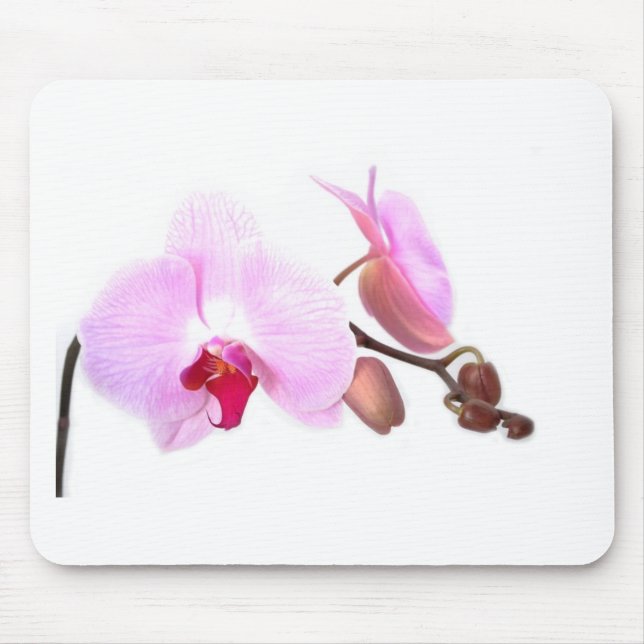 Aziza Orchid Blossoms Mousepad (Vorne)