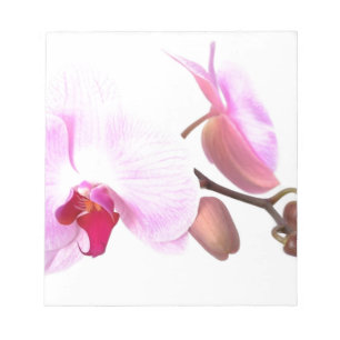Aziza Orchid Blossoms Notizblock