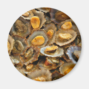 Azorenlimpets "lapas " magnet
