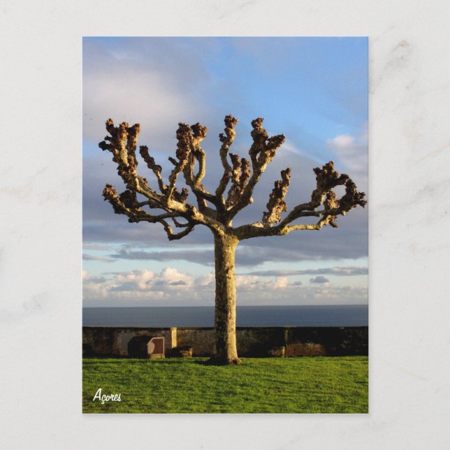 Azores Postcard-Ermida mae de Deus Postkarte (Vorderseite)