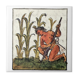 Aztekischer Bauer zum Anbau von Mais Fliese