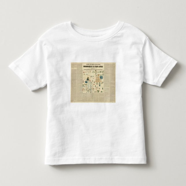 Aztekisches Mexiko-Tal 2 Kleinkind T-shirt (Vorderseite)