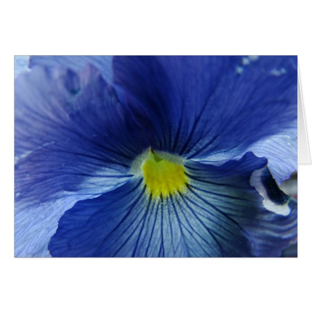 Azul (Vorderseite (Horizontal))