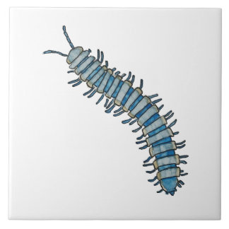 Azulejo de milpies azul fliese