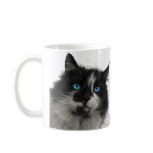 Azur-Seele Schwarze Katze Blaue Augen Kaffeetasse