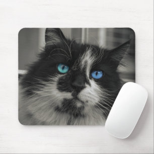 Azur-Seele Schwarze Katze Blaue Augen Mauspad