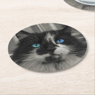 Azur-Seele Schwarze Katze Blaue Augen Runde Coaste Runder Pappuntersetzer